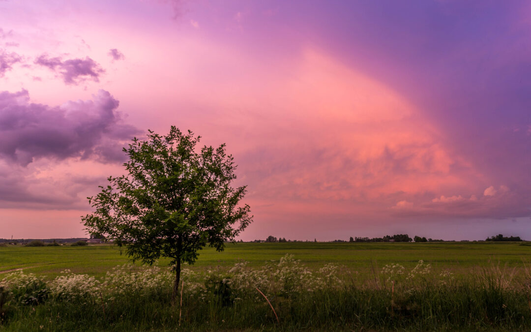 Heading North: Das Baltikum